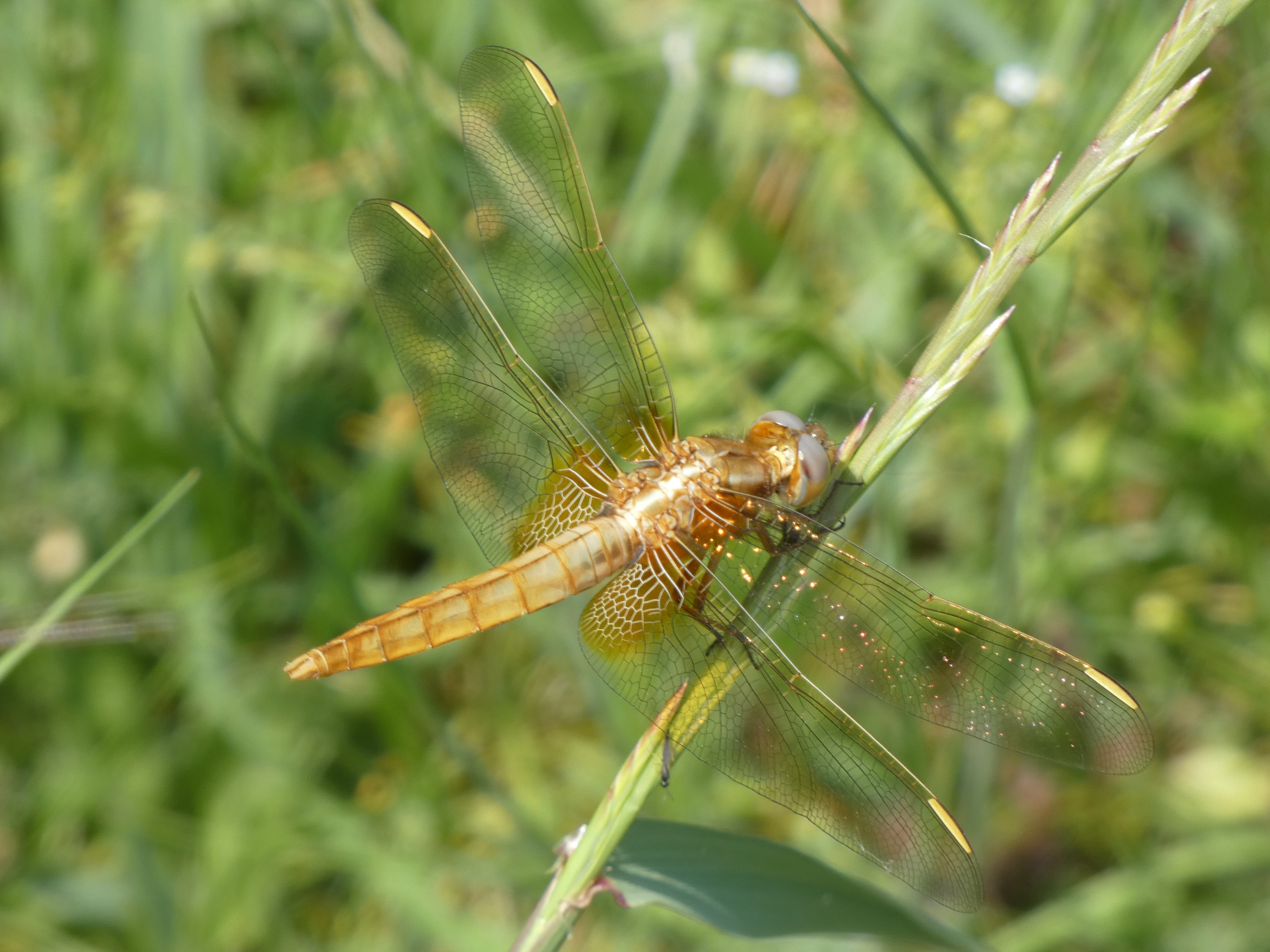 photo_2